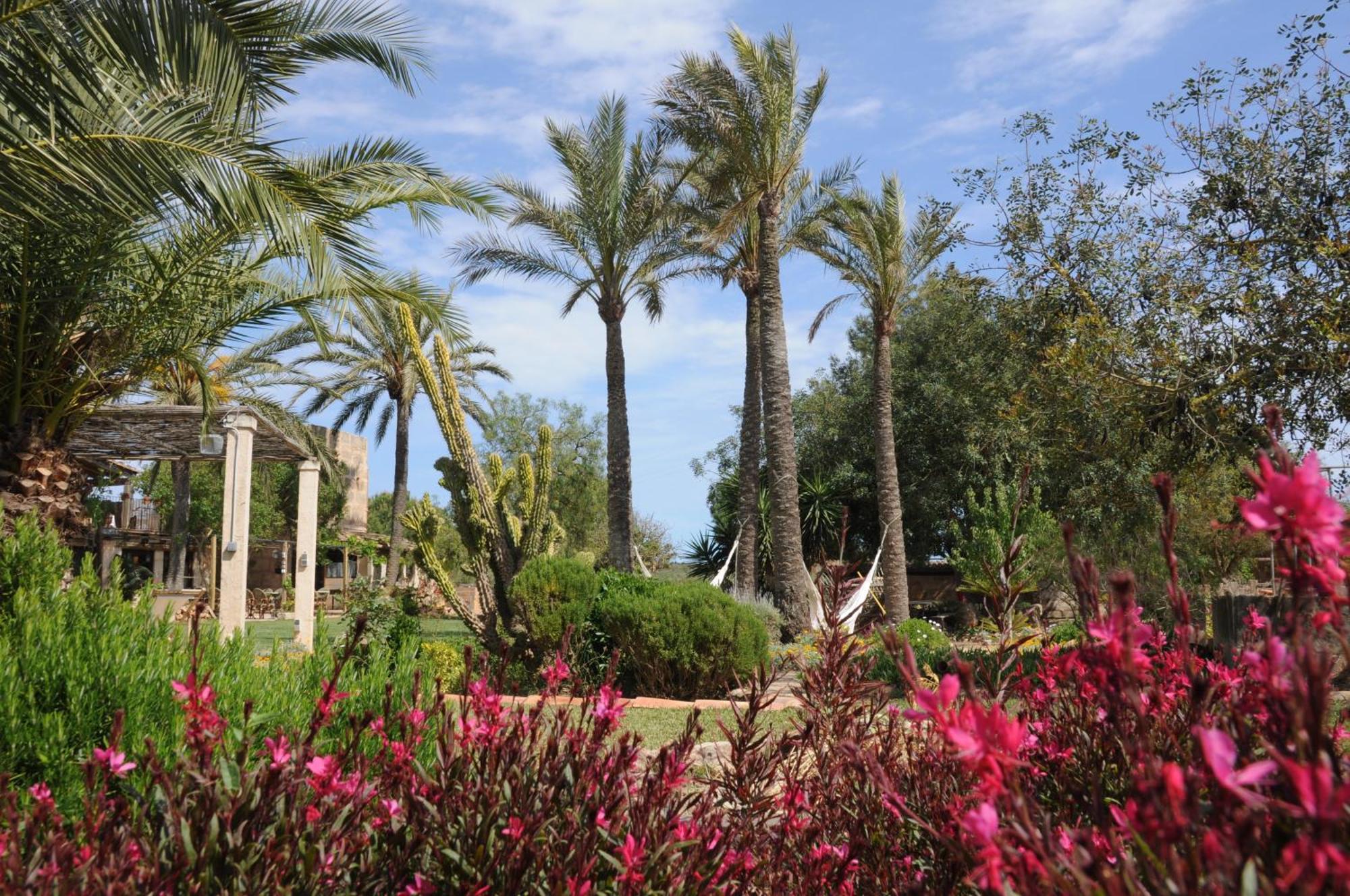 Agroturismo Finca Sant Blai Campos  Buitenkant foto