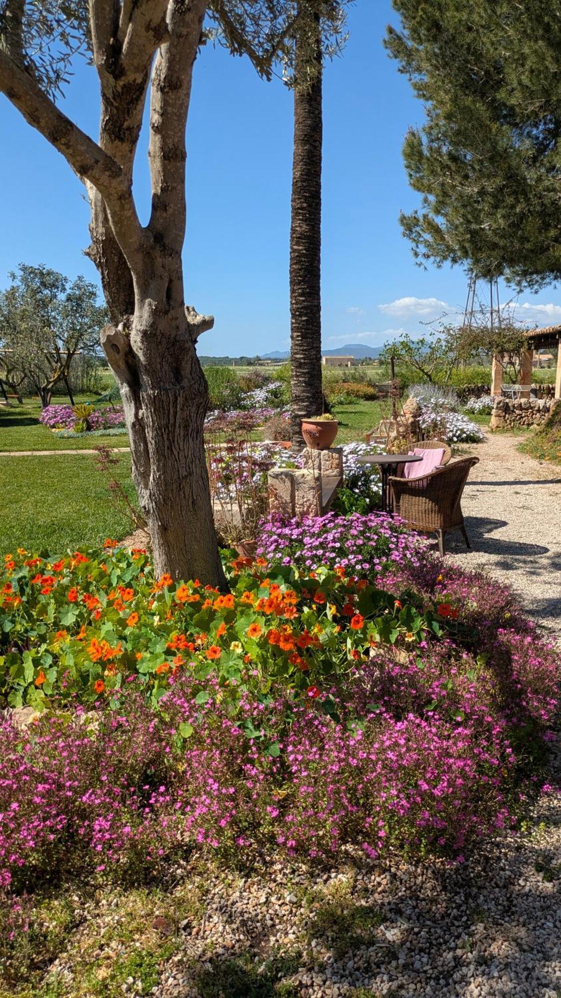 Agroturismo Finca Sant Blai Campos  Buitenkant foto