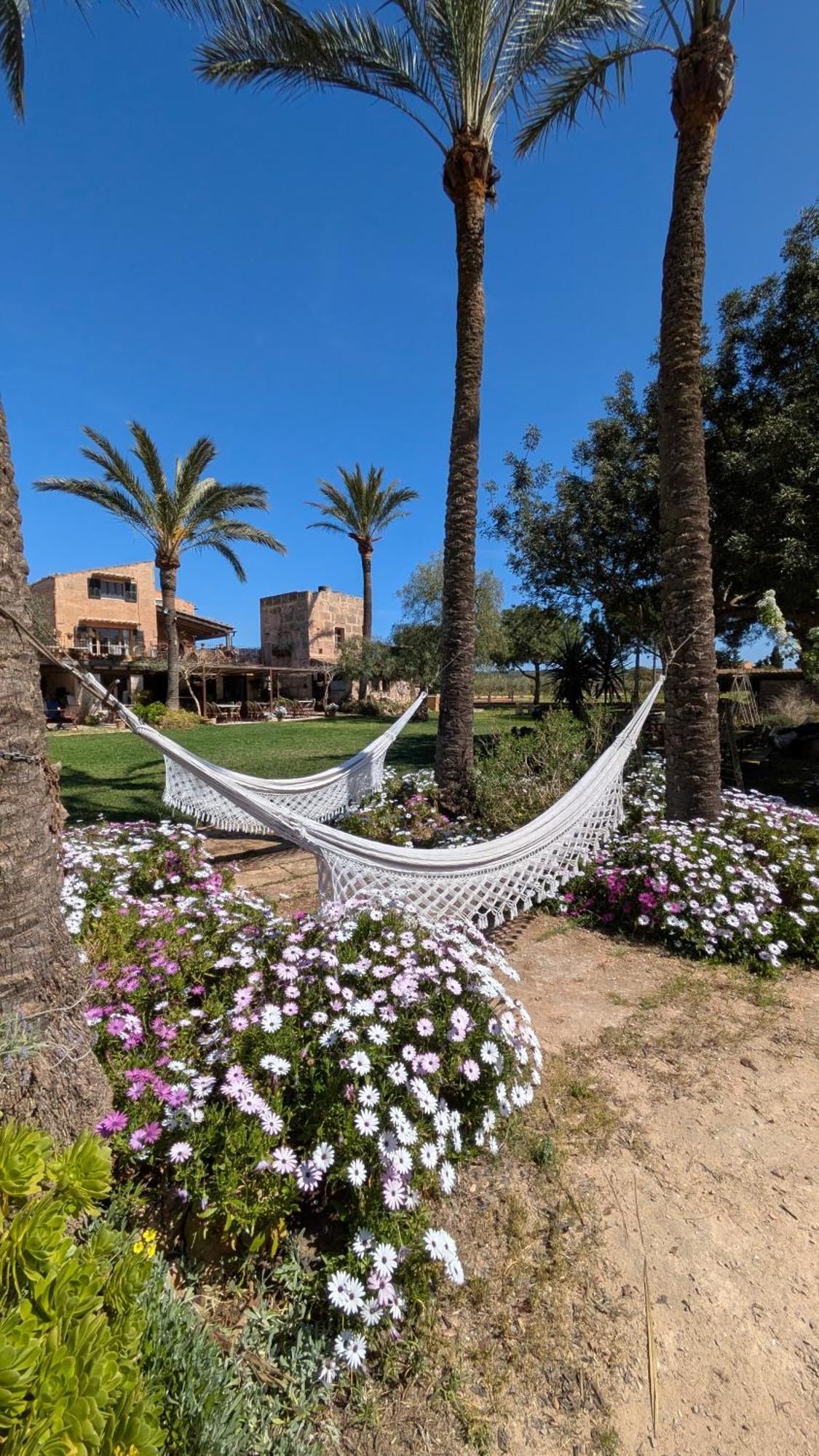 Agroturismo Finca Sant Blai Campos  Buitenkant foto