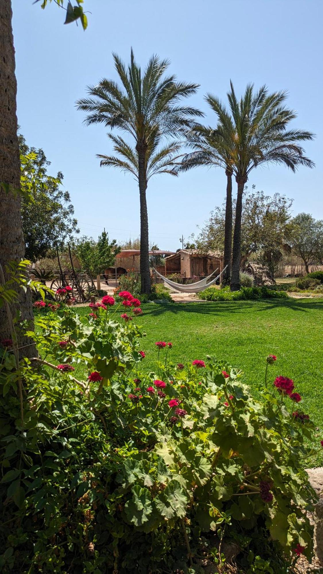 Agroturismo Finca Sant Blai Campos  Buitenkant foto