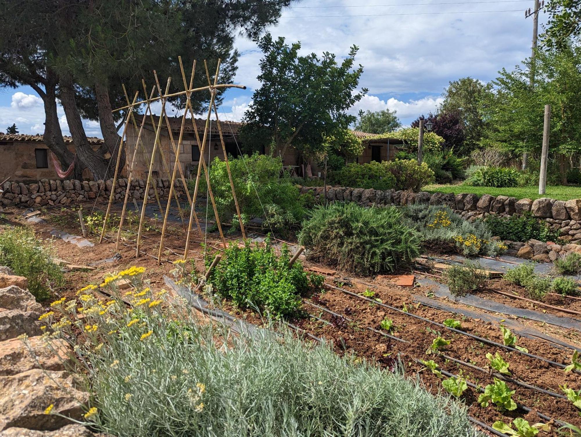 Agroturismo Finca Sant Blai Campos  Buitenkant foto