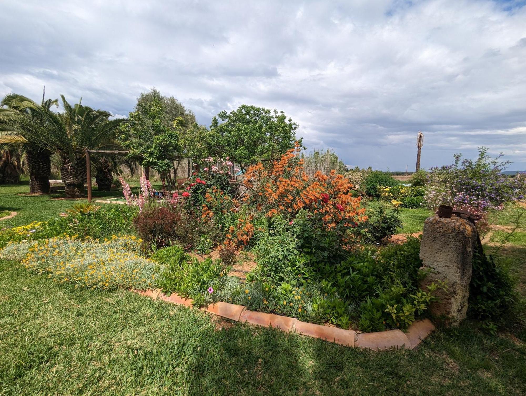 Agroturismo Finca Sant Blai Campos  Buitenkant foto