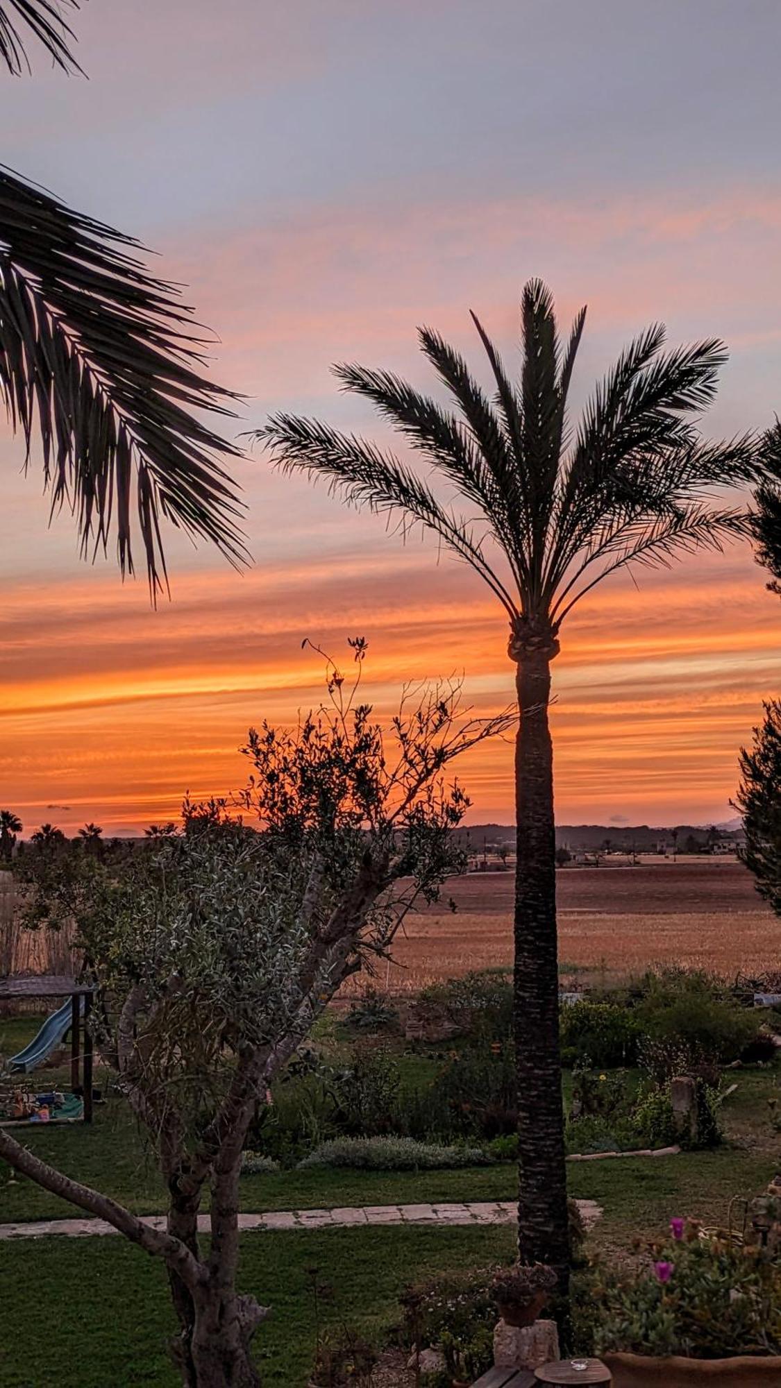 Agroturismo Finca Sant Blai Campos  Buitenkant foto